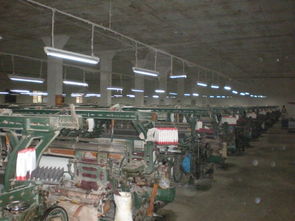 河北 純滌布 織布廠 化纖坯布 產品