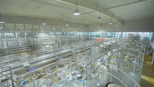 二十四節氣看蒙牛丨大暑走進蒙牛烏魯木齊工廠