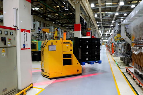 在上海嘉定感受智能汽車創(chuàng)新“熱帶雨林”