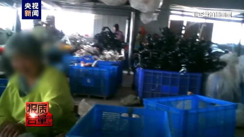 2歲娃頭部遭重?fù)?！多人受傷，網(wǎng)紅兒童產(chǎn)品被曝缺陷，昆明家庭需警惕